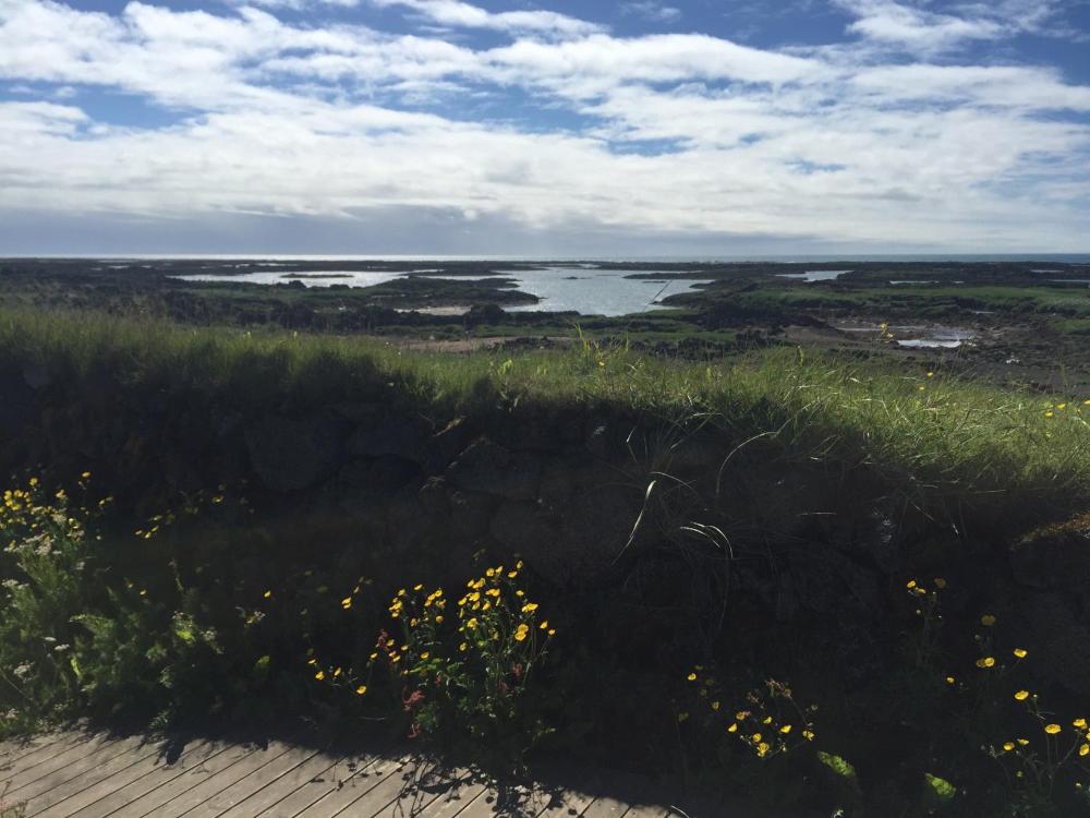 Ocean Beach Apartments