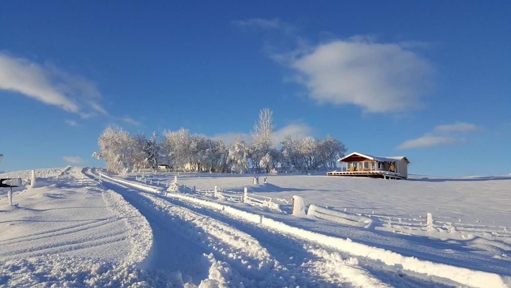 Eyvindartunga Farm Cottage
