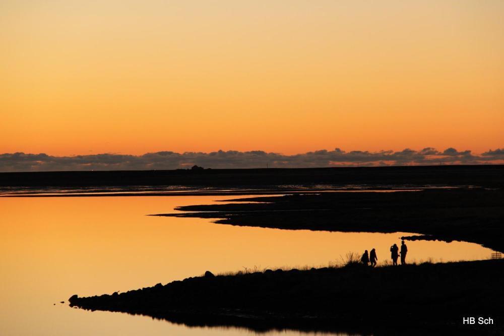 南冰岛旅馆（South Iceland Guesthouse）