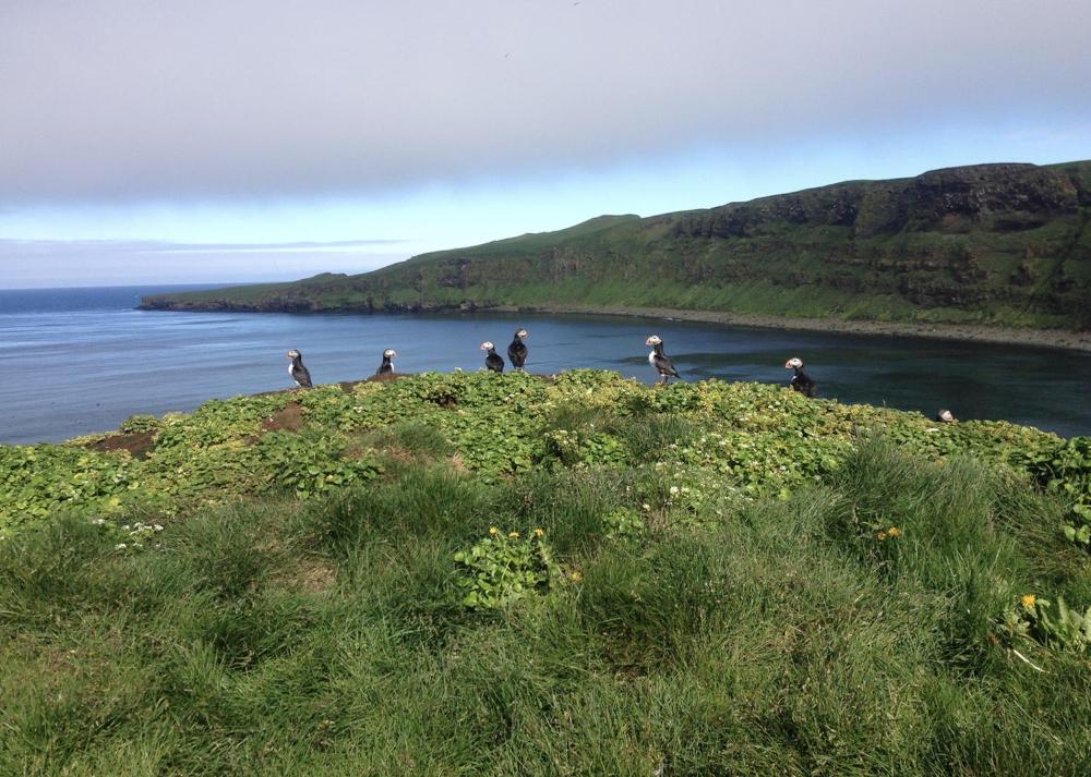 巴萨尔旅馆 | Guesthouse Básar