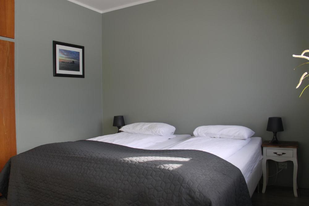 南冰岛旅馆(South Iceland Guesthouse)