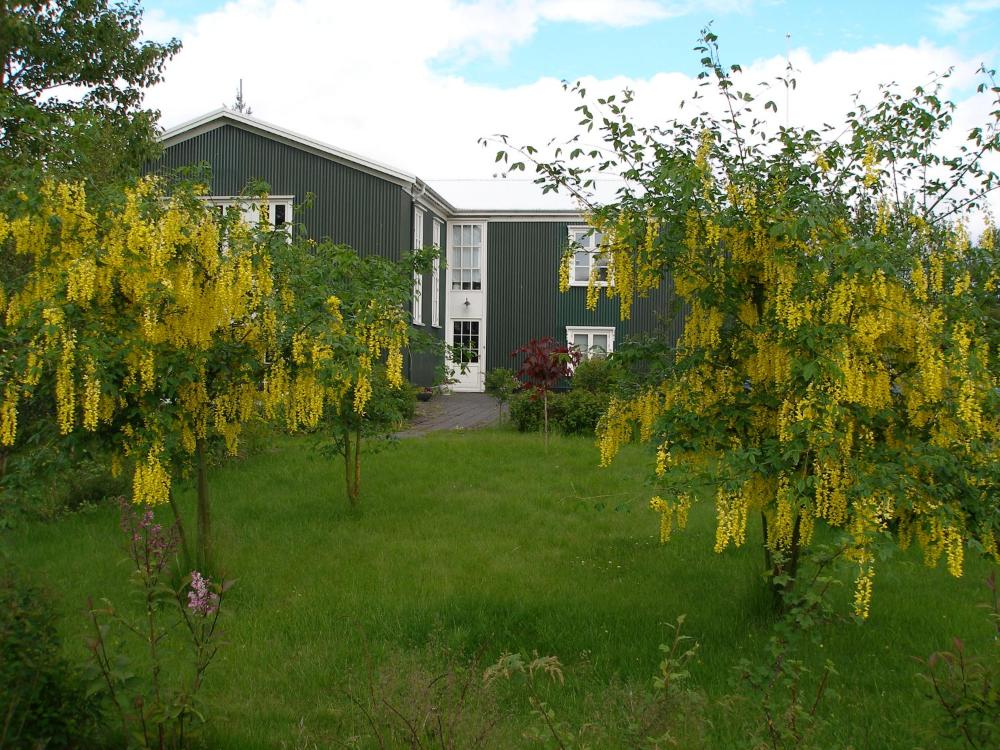 アウサスコリ（Asaskoli）