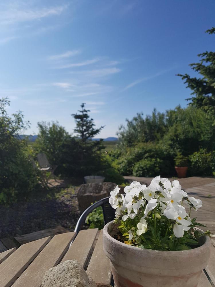 Granastaðir宾馆（Granastaðir Guesthouse）