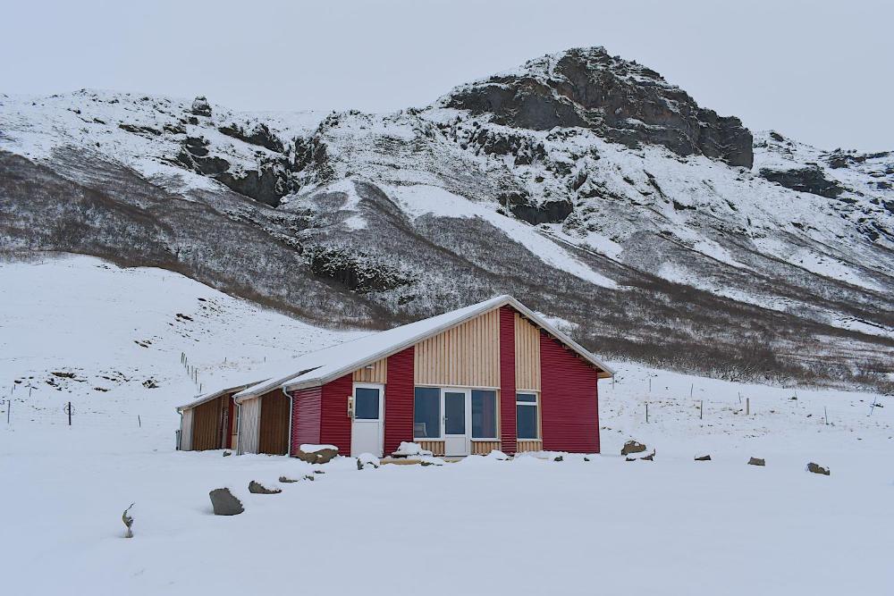 The Potato Storage（ザ・ポテト・ストレージ）