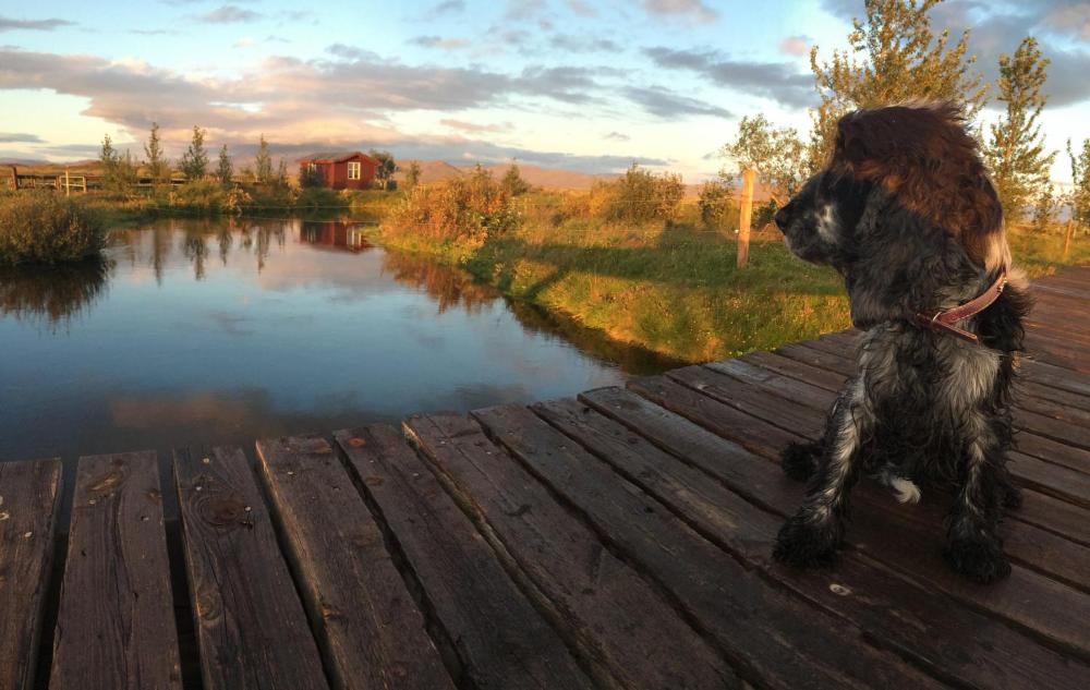 Fögruvallakot小屋(Fögruvallakot Cabin)