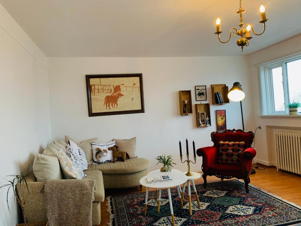 斯科拉沃尔杜斯蒂居公寓（Skólavörðustígur Apartments）