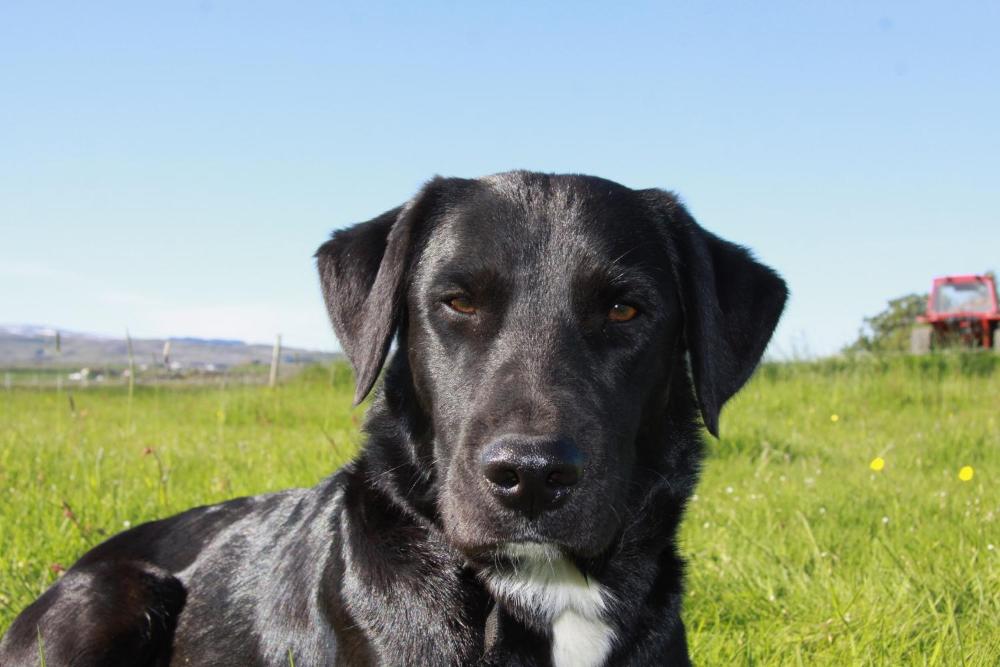 Hytte 2 på Lundar gård