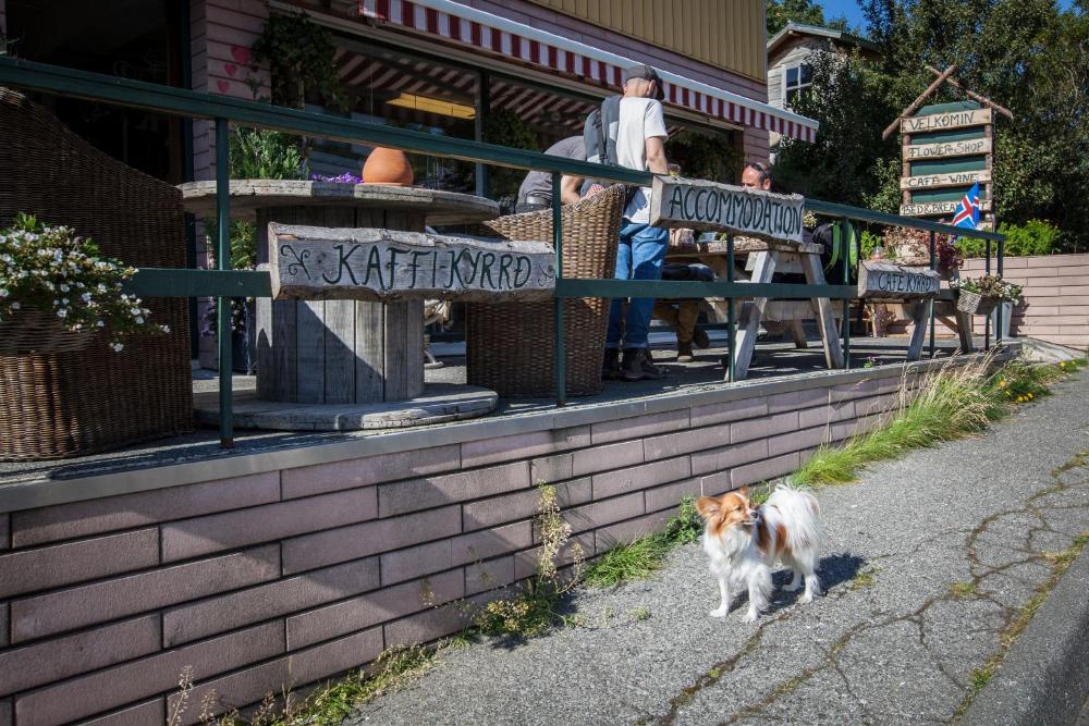布洛马瑟特里兹寄宿家庭 | Blómasetrið Homestay