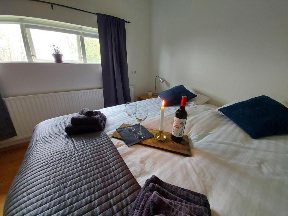 黄金圈风琴师之家（The Organist House in Golden Circle）