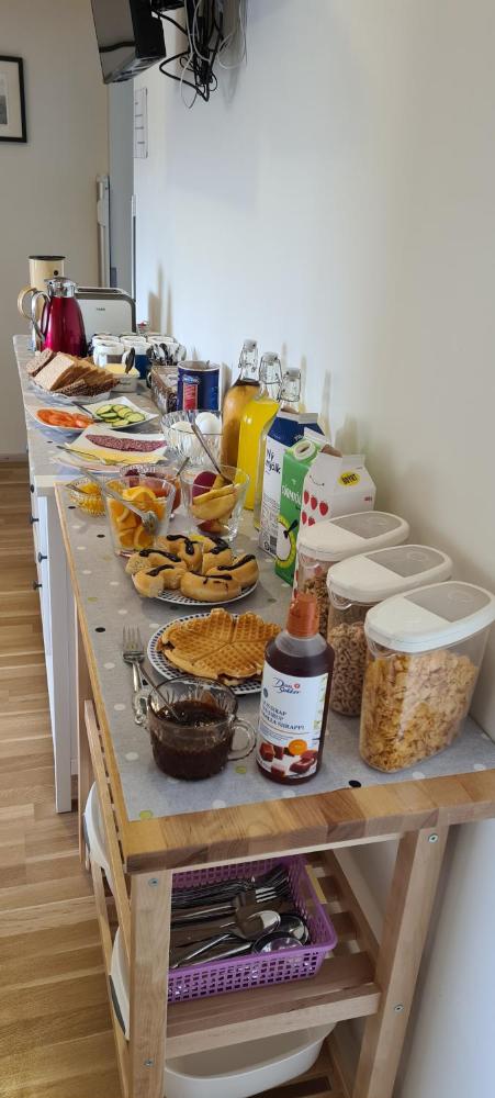 斯特卡顿旅馆 | Stekkatun Guesthouse