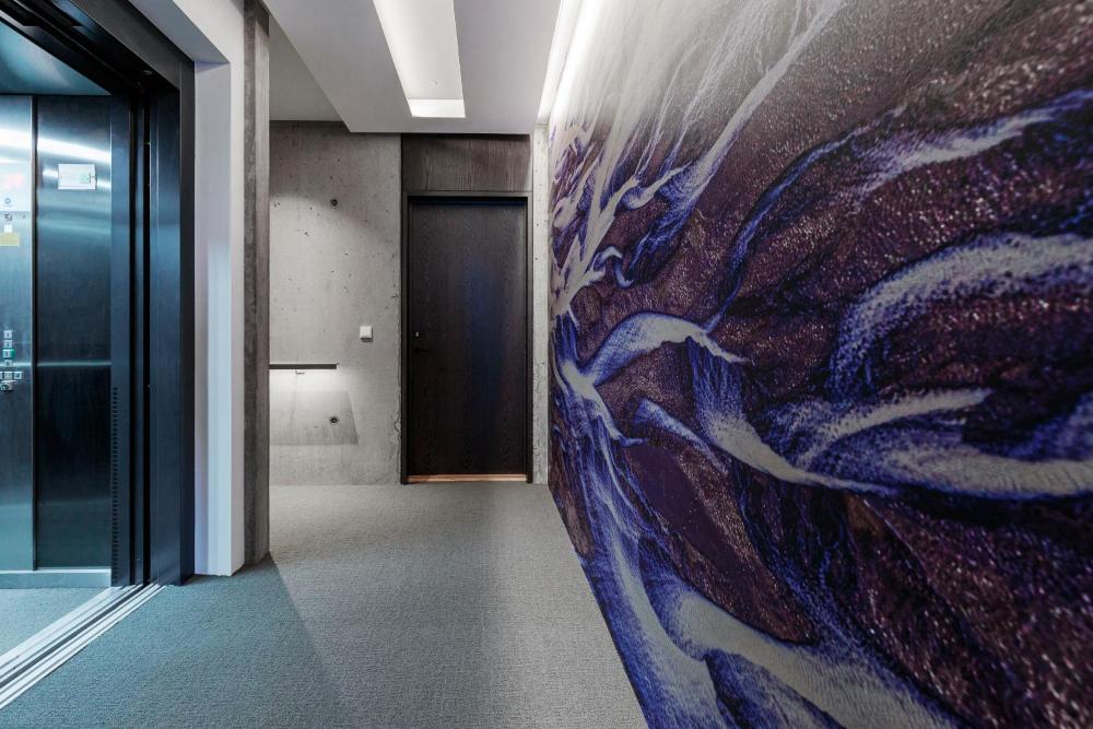 蓝色维京公寓雷克雅未克(Blue Viking Apartments Reykjavik)