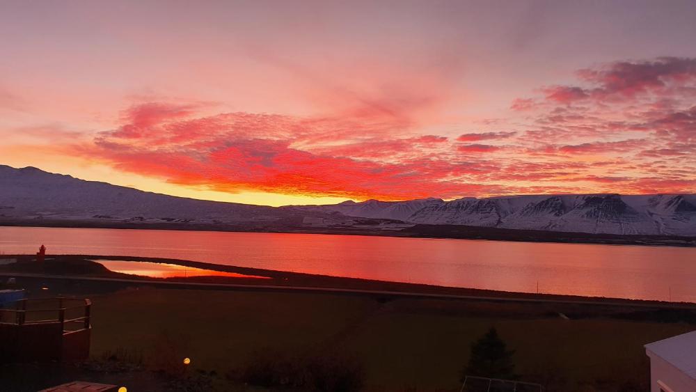 North Inn - Guesthouse and Cabin