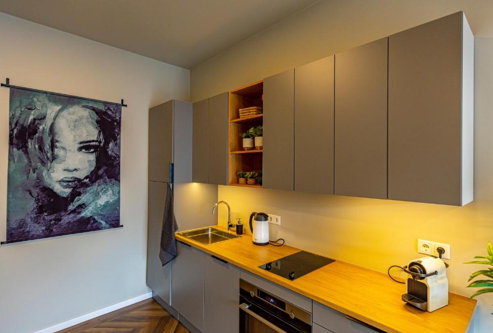 冰岛SJF公寓 - 201(Iceland SJF Apartments - 201)