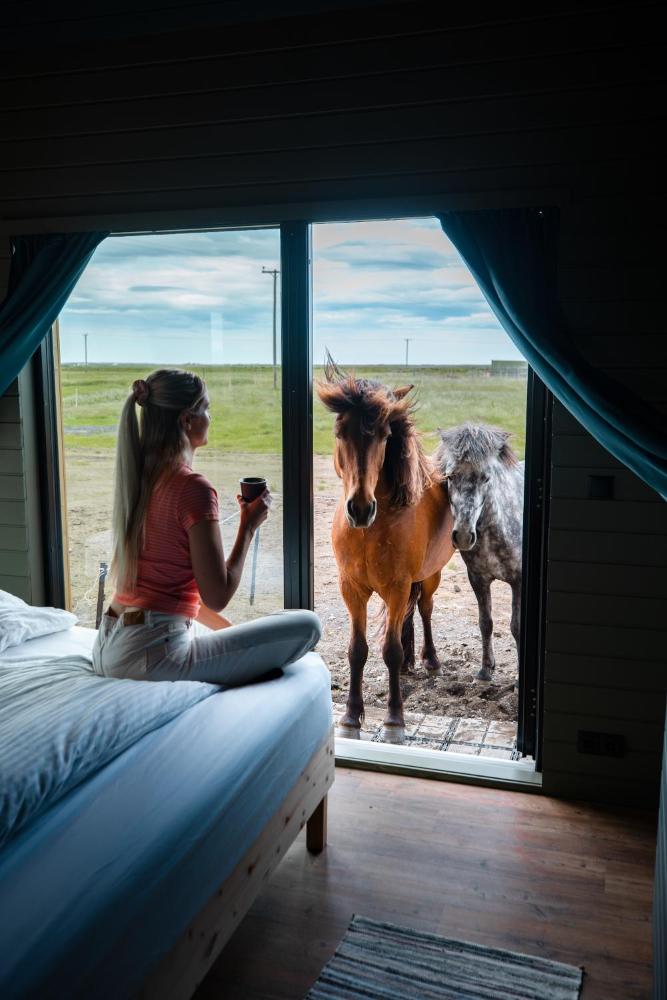 Sleeping with the Horses