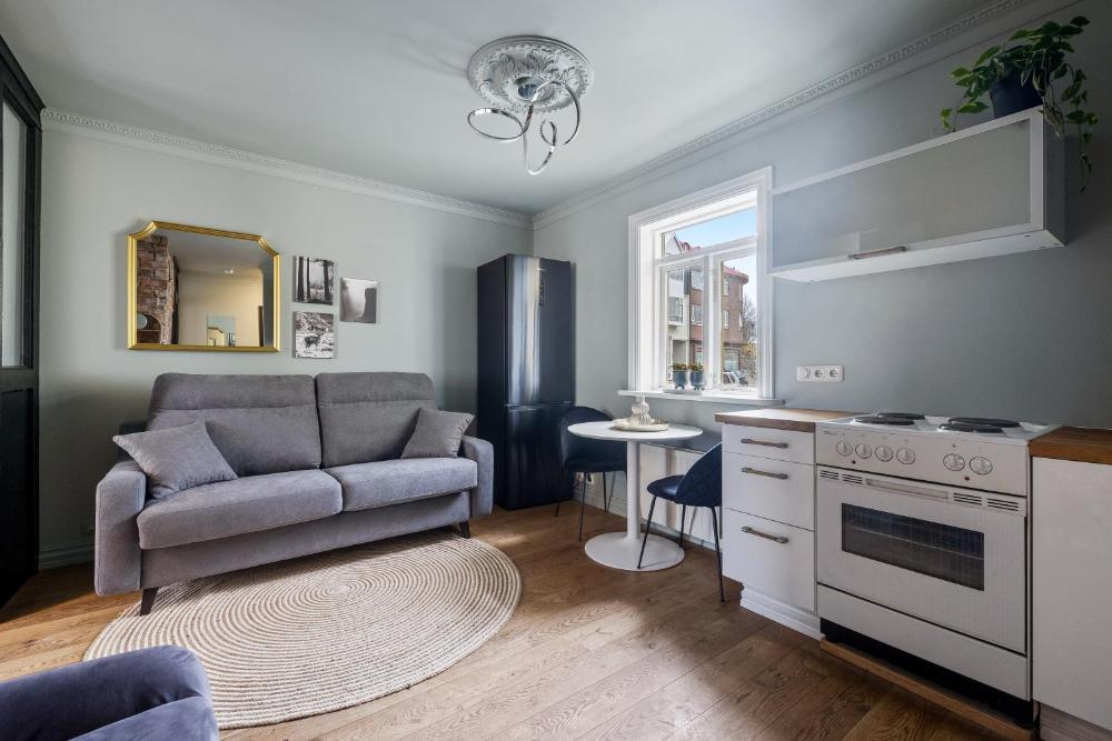 The Center of Downtown Reykjavík