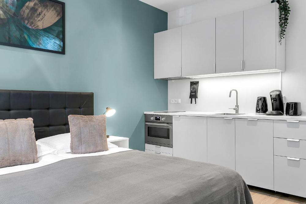 雷克雅未克市中心现代公寓（Modern Studio in Downtown Reykjavík）