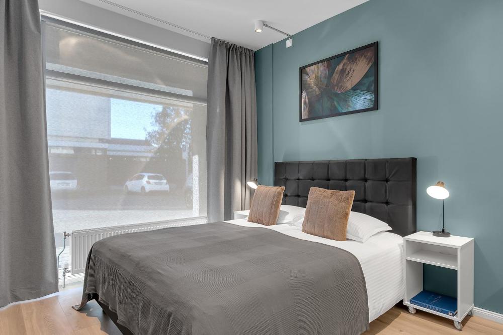 雷克雅未克市中心现代公寓（Modern Studio in Downtown Reykjavík）