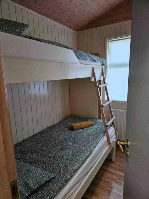 辛格维德利尔湖畔小屋2号(Lakeside Cabin in Thingvellir #2)