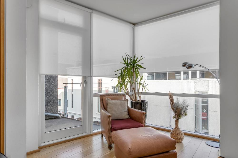 발두르스브라우 아파트 라우가베그르(Baldursbrá Apartment Laugavegur)