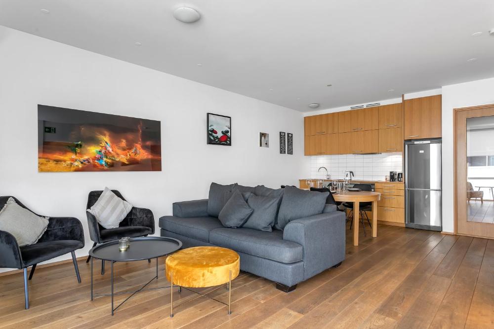 발두르스브라우 아파트 라우가베그르(Baldursbrá Apartment Laugavegur)