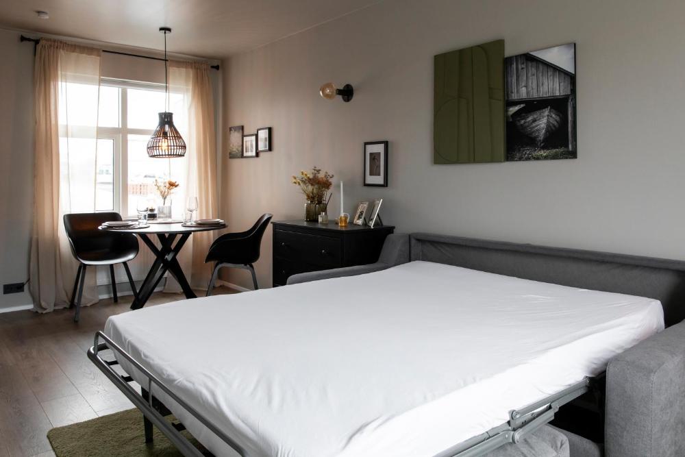 阳光之光哈夫纳加塔公寓(Ray of Sunshine Hafnargata)