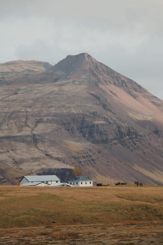 Glacier World Hoffell