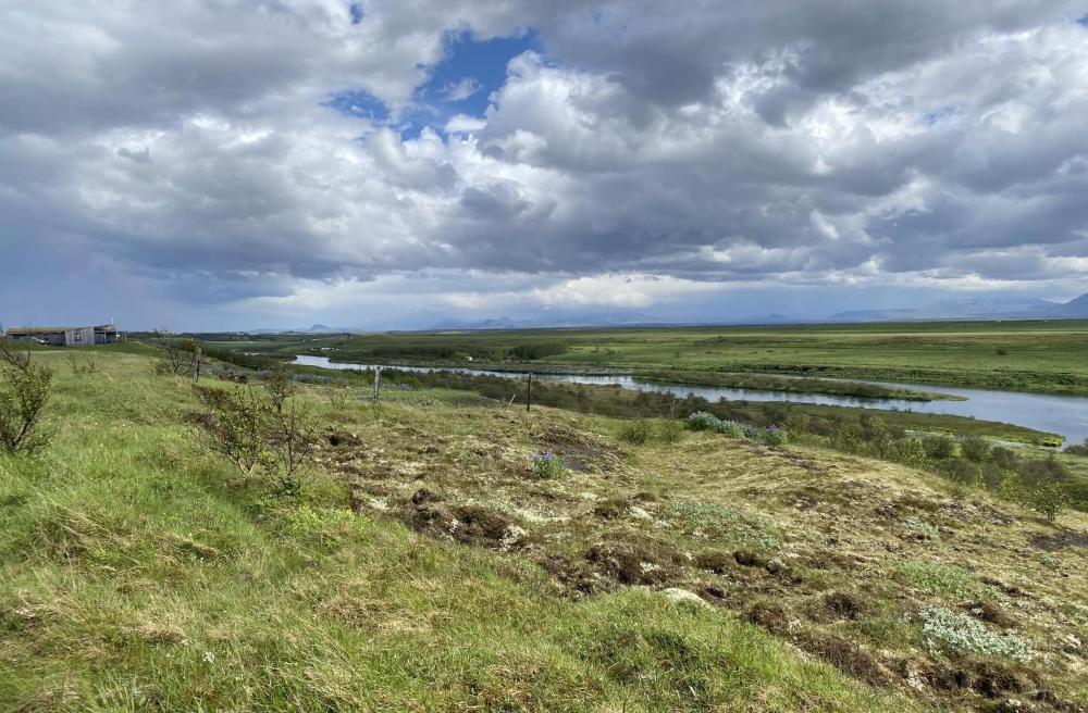 Ugla Gistihus (Ugla Guesthouse)
