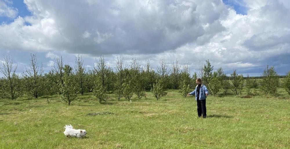 Ugla Gistihus (Ugla Guesthouse)