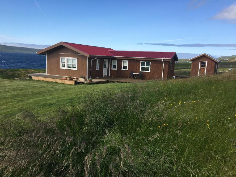 อิทรี อาร์บักกิ