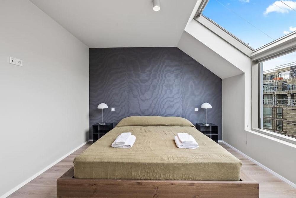 天窗豪华三卧两卫市中心公寓（含免费停车）(Skylight Lux 3BR/2BA City Center with Free Parking)