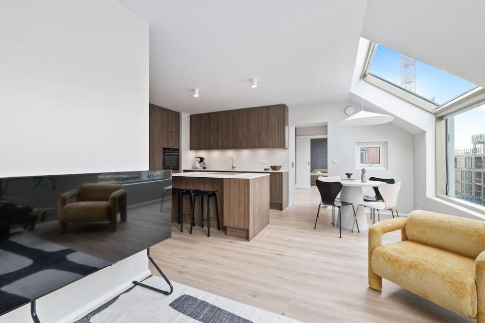 天窗豪华三卧两卫市中心公寓（含免费停车）(Skylight Lux 3BR/2BA City Center with Free Parking)