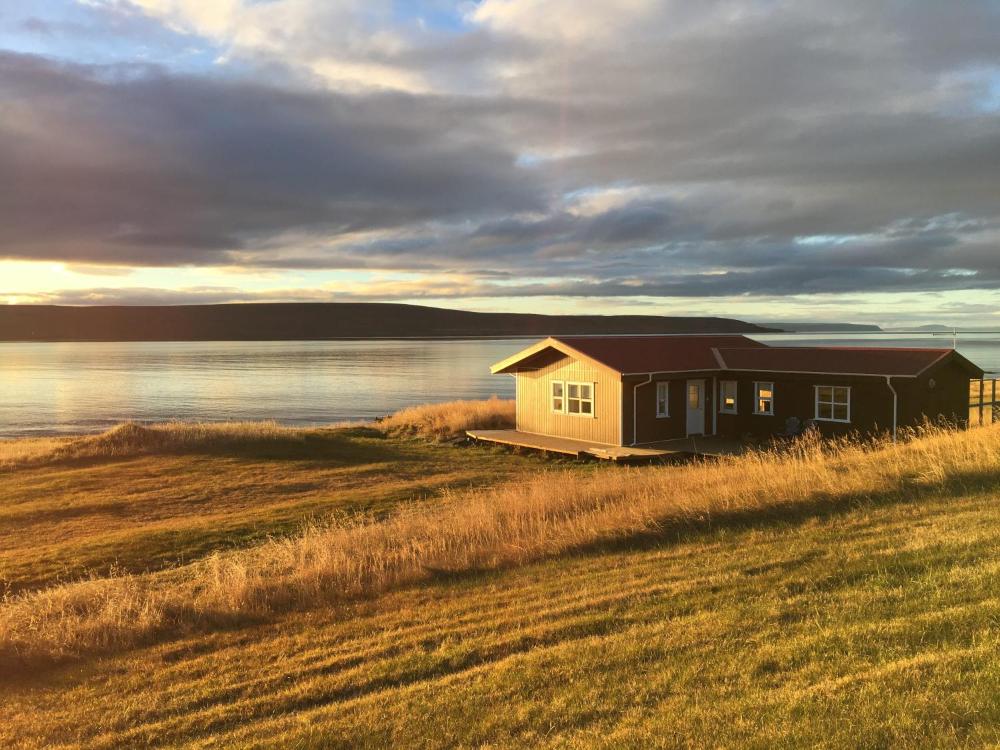 อิทรี อาร์บักกิ