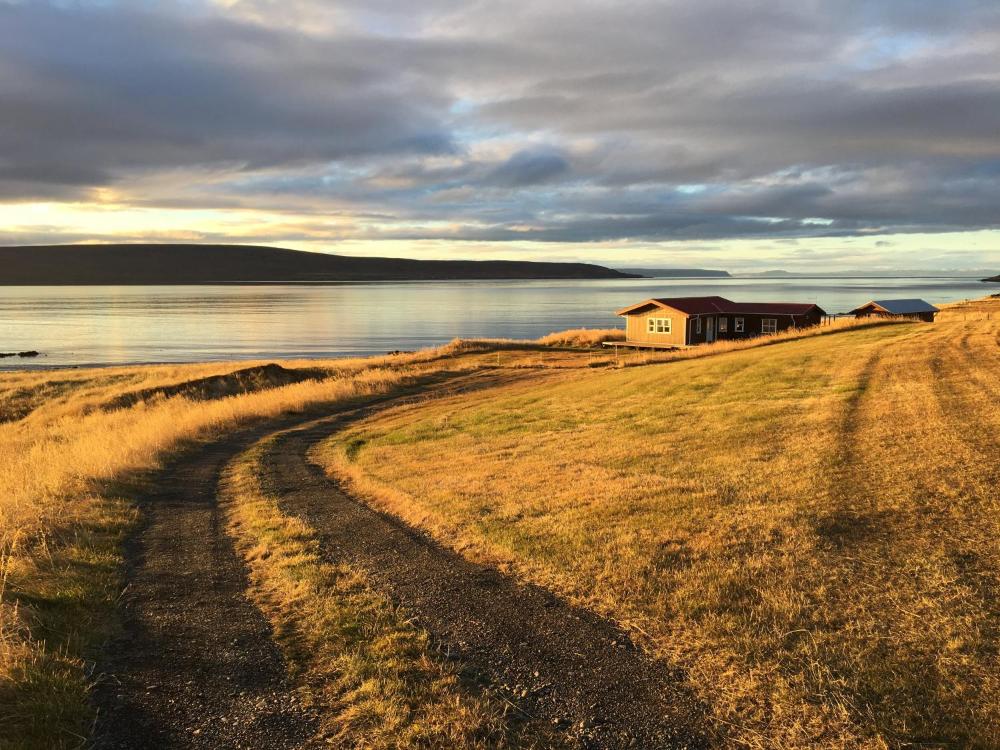 อิทรี อาร์บักกิ