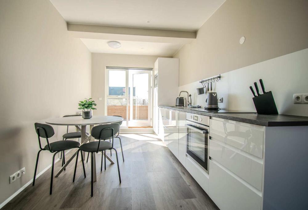 Freyjugata公寓 - Heimaleiga管理(Freyjugata Apartments by Heimaleiga)