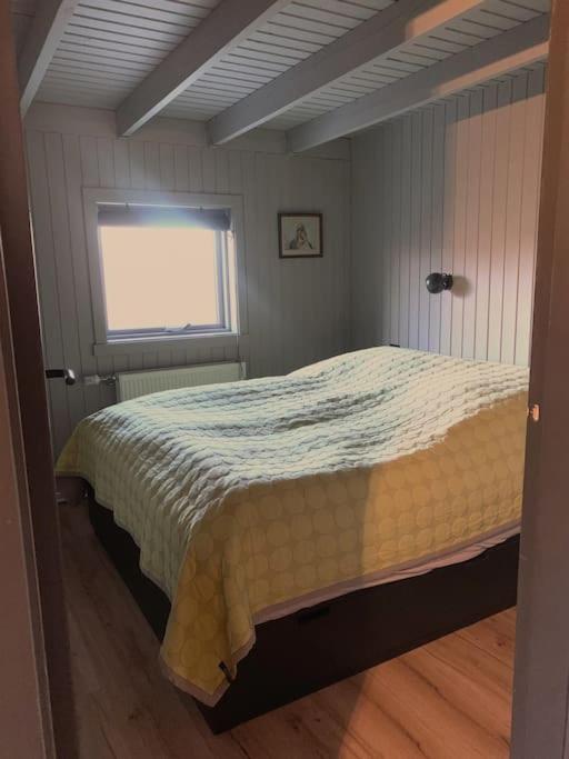 黄金圈之心温泉住宿（Heart of the Golden Circle with Hot Tub）