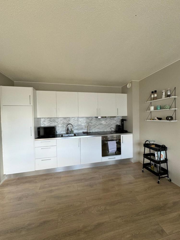 舒适公寓（Comfy Flat）位于科帕沃于尔（Kópavogur）