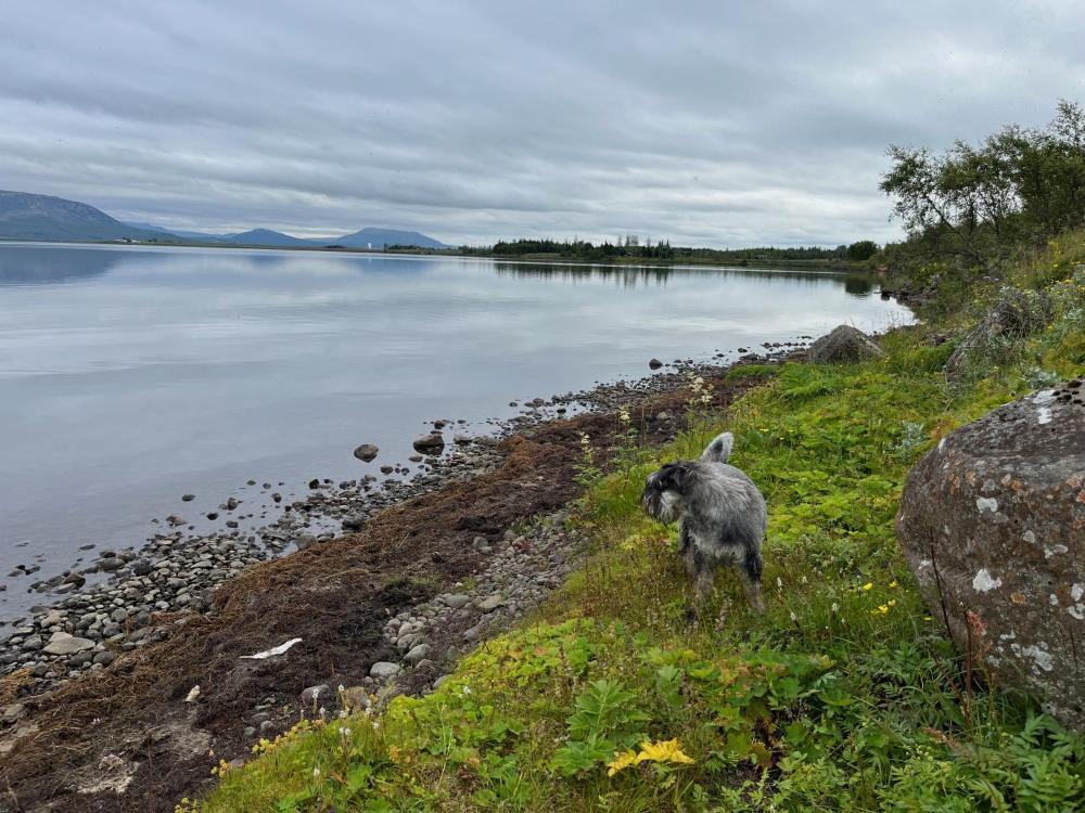 ゴールデンサークル近く-最大10名宿泊 HG-17268