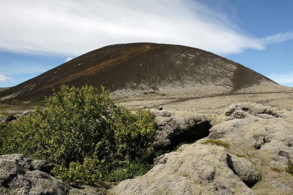 比弗罗斯特酒店 | Hótel Bifröst