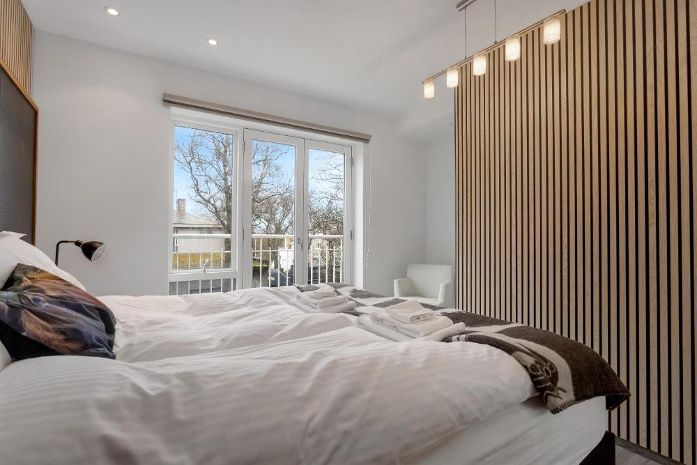 雷克雅未克市中心豪华公寓(Luxury Apartment Central Reykjavik)