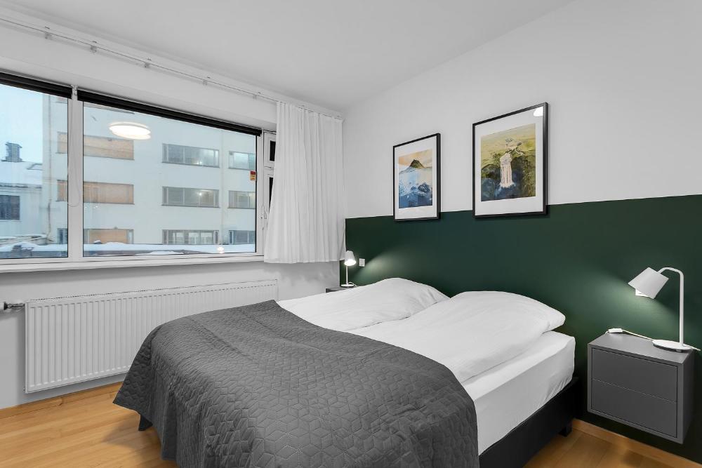 雷克雅未克市中心现代一卧室公寓(Centrally Located Modern 1BR Apartment Reykjavik)
