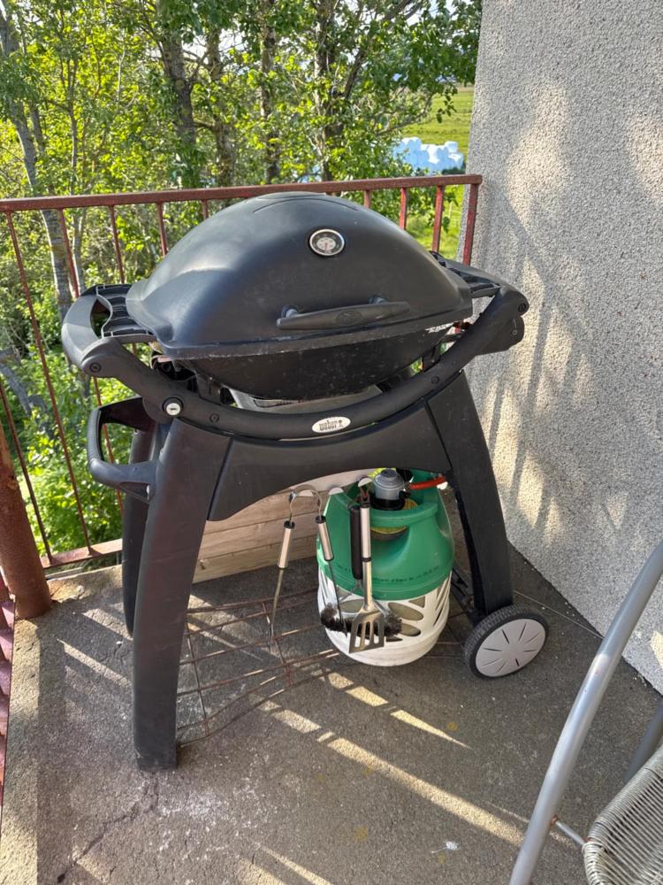 阿尔夫塔通加农庄旅馆(Álftártunga Farm Guesthouse)