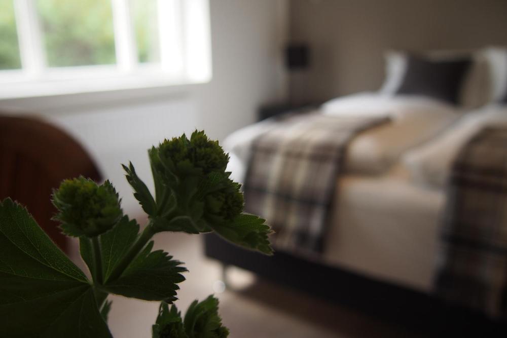 Granastaðir宾馆（Granastaðir Guesthouse）