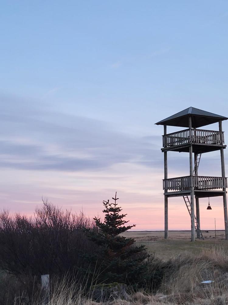 โวนาร์แลนด์