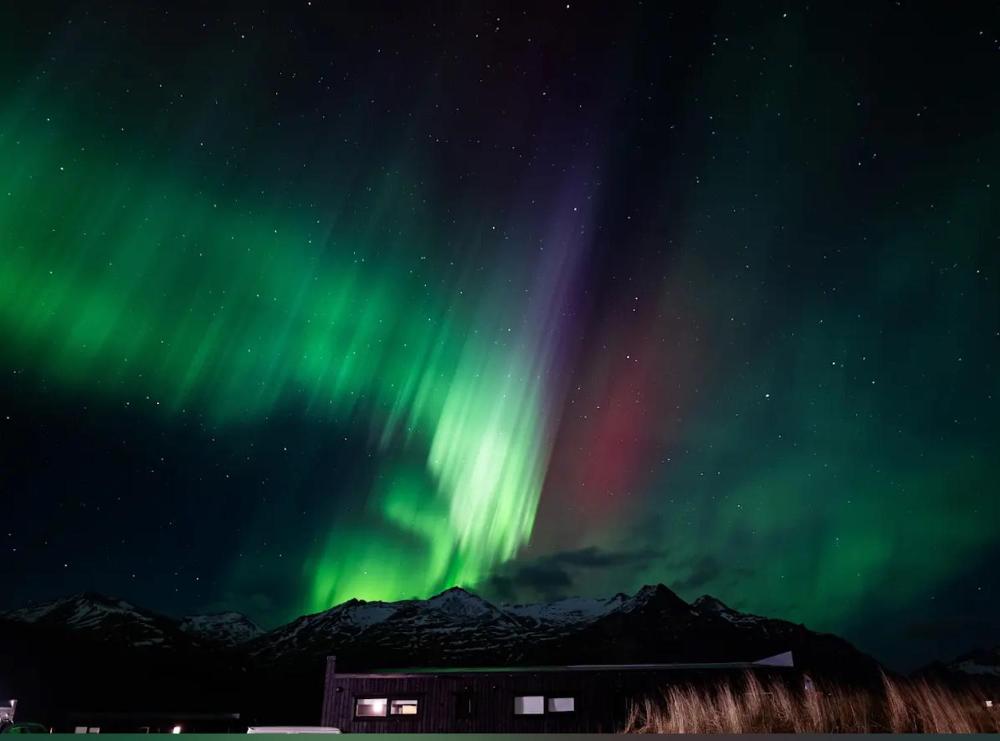 REY Stays - 小巧温馨公寓(REY Stays - Small & Cozy Studio)