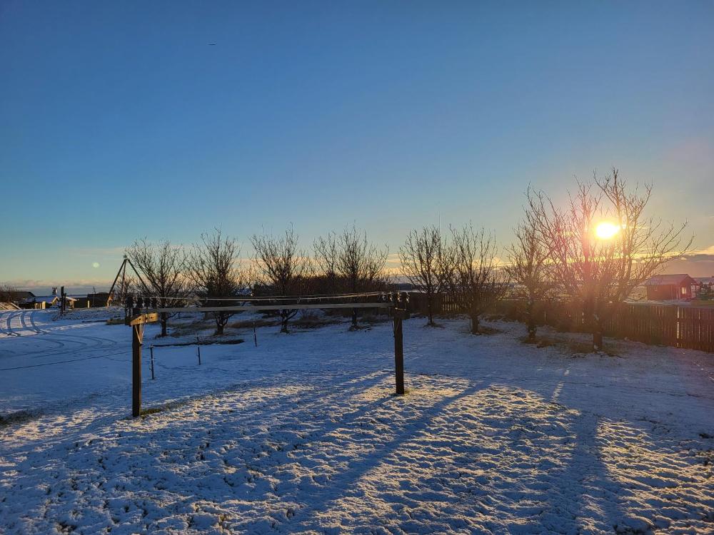 โวนาร์แลนด์