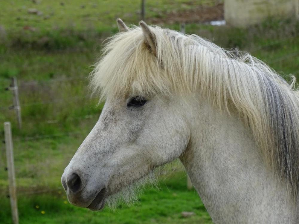 Гостевой дом 1A