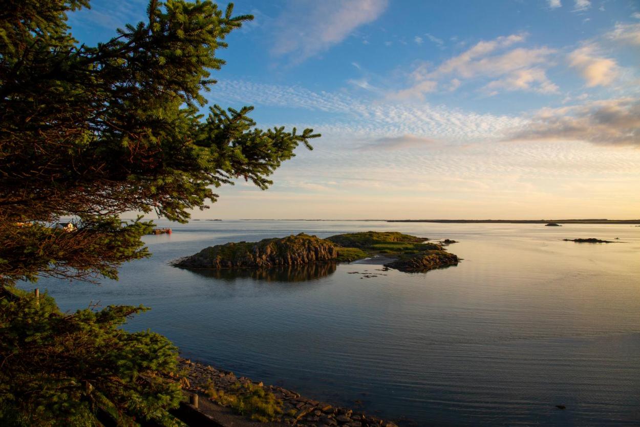 布洛马瑟特里兹寄宿家庭 | Blómasetrið Homestay