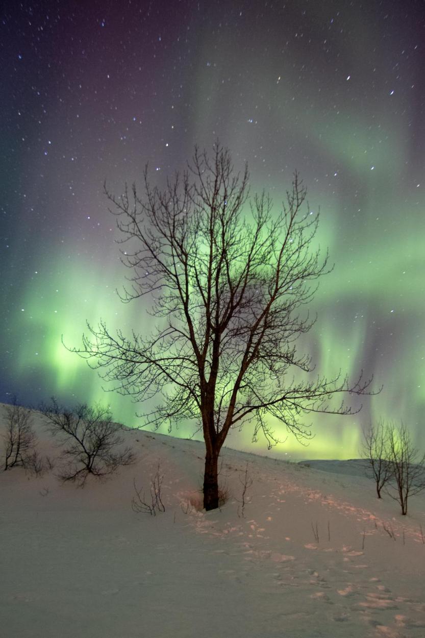Dalshöfði Guesthouse