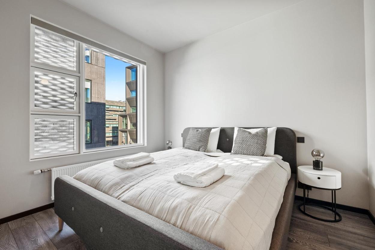 市中心舒适豪华两卧两卫公寓（Cozy Lux 2BR & 2BA City Center with Free Parking）含免费车位