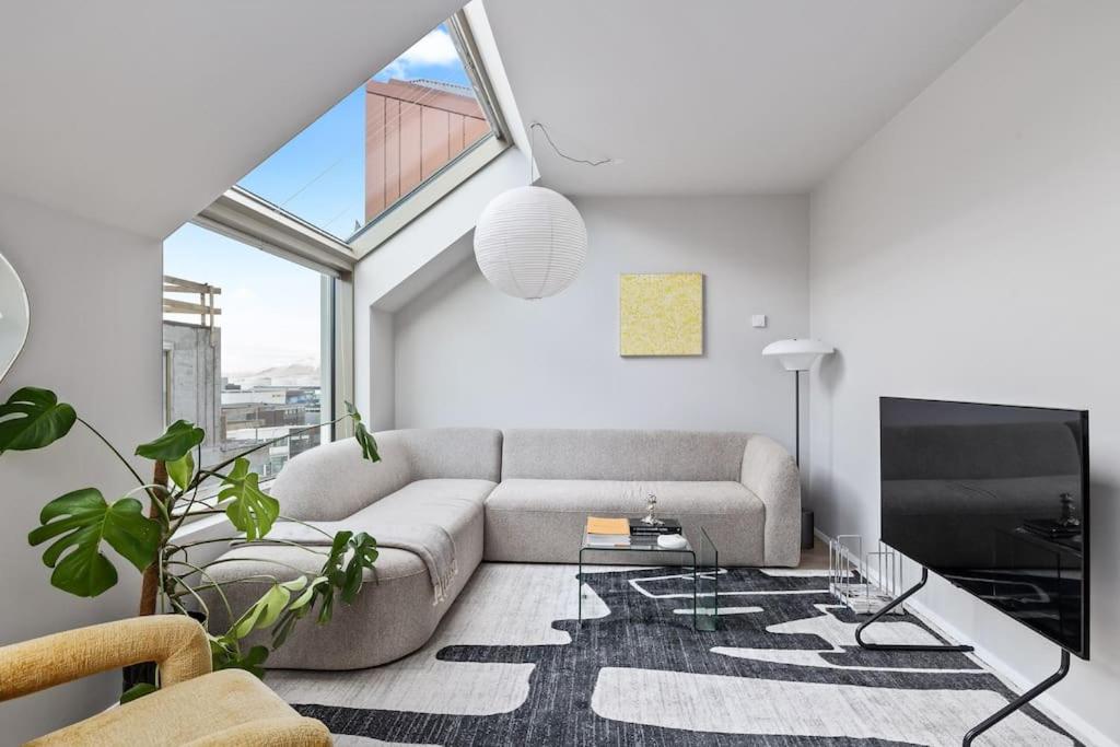 天窗豪华三卧两卫市中心公寓（含免费停车）(Skylight Lux 3BR/2BA City Center with Free Parking)